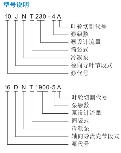 DNT型凝美女日皮视频APP